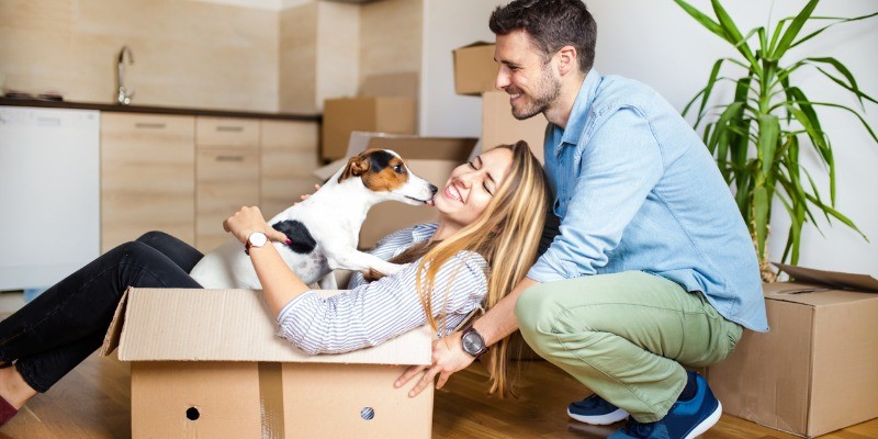 Family moving with pet